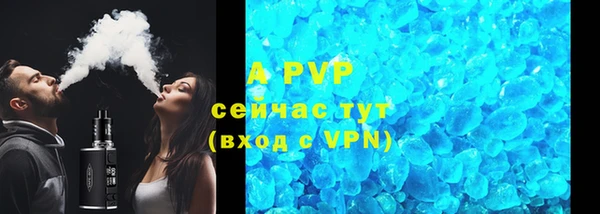 спиды Богданович