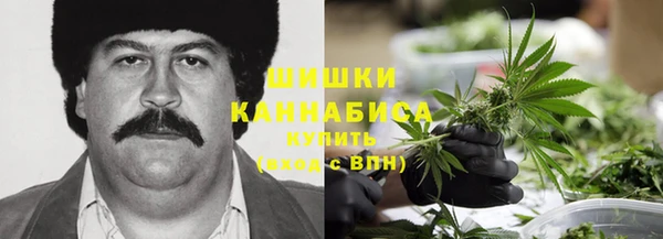 спиды Богданович