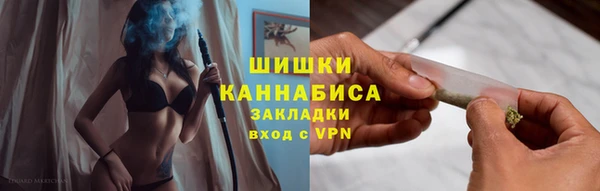 спиды Богданович