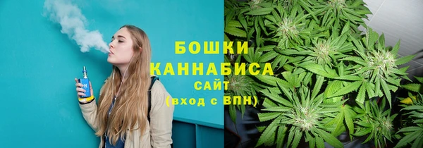 прущие грибы Сясьстрой